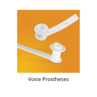 Voice Prostheses